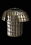 platemail[1].gif