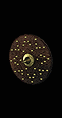 smallshield[1].gif