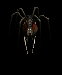 evilspider.gif